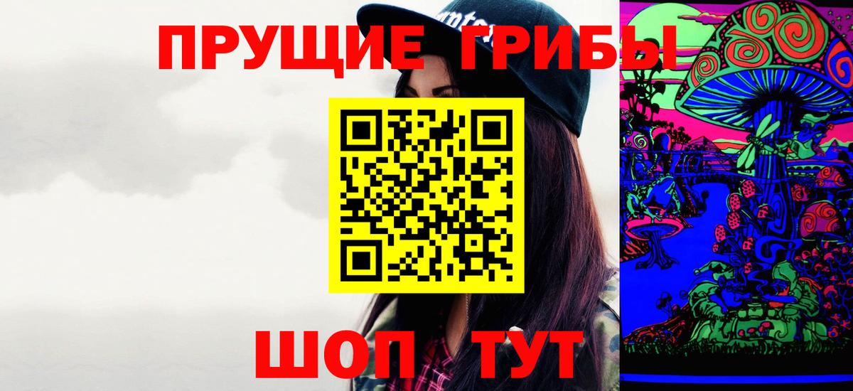 Галлюциногенные грибы прущие грибы  закладки  Тула  Вход с VPN  Псилоцибиновые грибы Psilocybe 