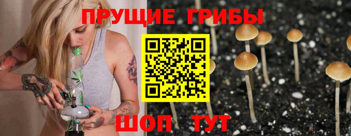 Галлюциногенные грибы ЛСД Тула